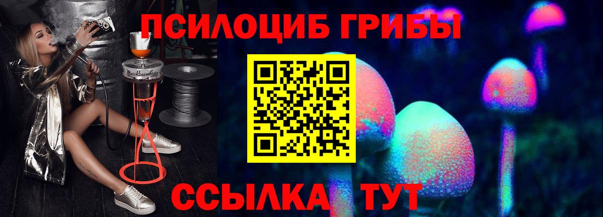 Галлюциногенные грибы MAGIC MUSHROOMS  Вход с VPN  Калуга 