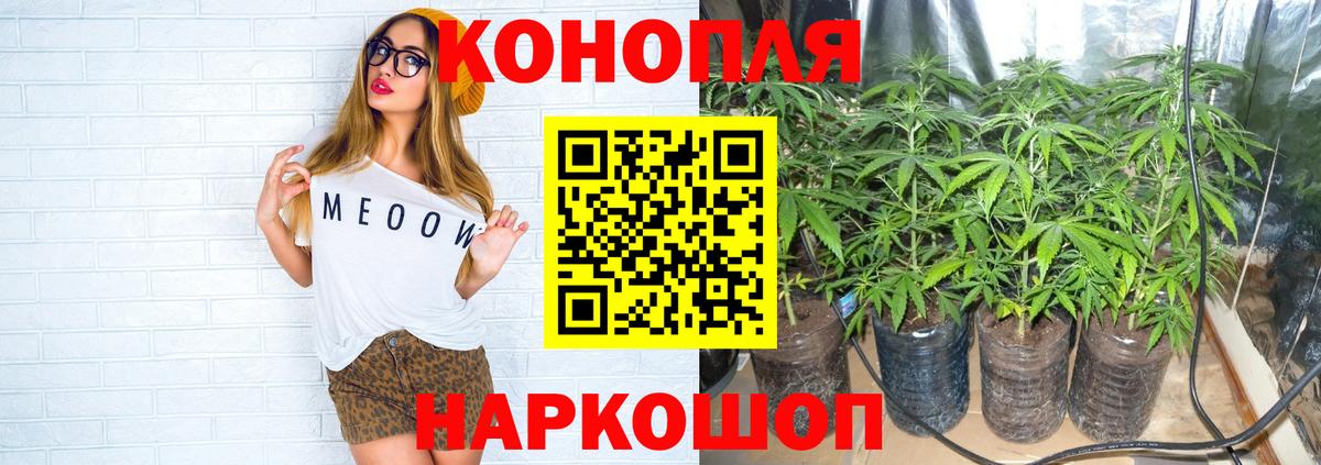 Канабис Amnesia  Шишки марихуана тримм  Калуга  Канабис OG Kush  Вход с VPN 